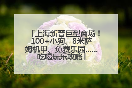 上海新晋巨型商场！100+小狗、8米萨姆机甲、免费乐园……吃喝玩乐攻略