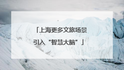 上海更多文旅场景引入“智慧大脑”