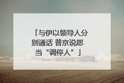 与伊以领导人分别通话 普京说愿当“调停人”