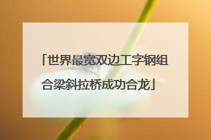 世界最宽双边工字钢组合梁斜拉桥成功合龙