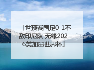 世预赛国足0-1不敌印尼队 无缘2026美加墨世界杯