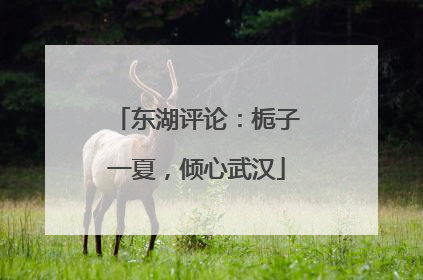 东湖评论：栀子一夏，倾心武汉