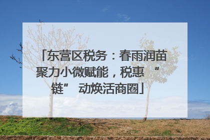 东营区税务：春雨润苗聚力小微赋能，税惠 “链” 动焕活商圈