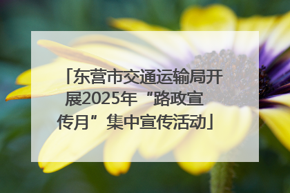 东营市交通运输局开展2025年“路政宣传月”集中宣传活动