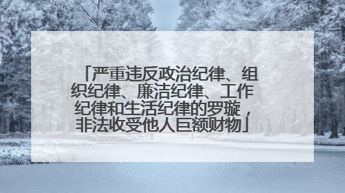 严重违反政治纪律、组织纪律、廉洁纪律、工作纪律和生活纪律的罗璇，非法收受他人巨额财物