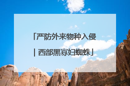 严防外来物种入侵｜西部黑寡妇蜘蛛