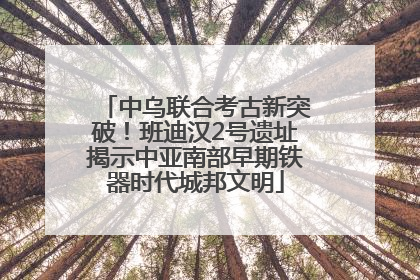 中乌联合考古新突破！班迪汉2号遗址揭示中亚南部早期铁器时代城邦文明