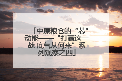 中原粮仓的“芯”动能——“打赢这一战 底气从何来”系列观察之四