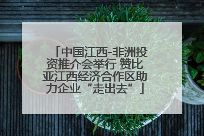 中国江西-非洲投资推介会举行 赞比亚江西经济合作区助力企业“走出去”
