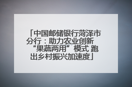 中国邮储银行菏泽市分行：助力农业创新 “果蔬两用”模式 跑出乡村振兴加速度