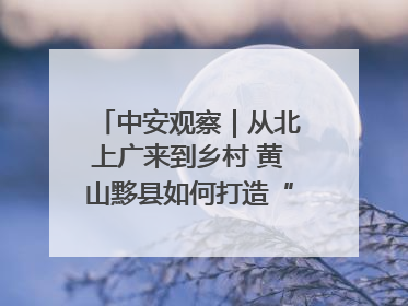 中安观察｜从北上广来到乡村 黄山黟县如何打造“数字游民”的“桃花源”？