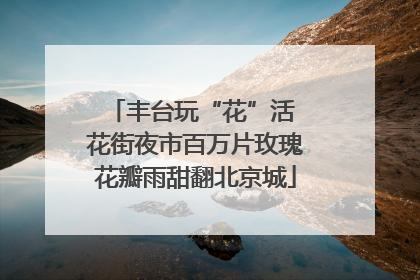 丰台玩“花”活 花街夜市百万片玫瑰花瓣雨甜翻北京城