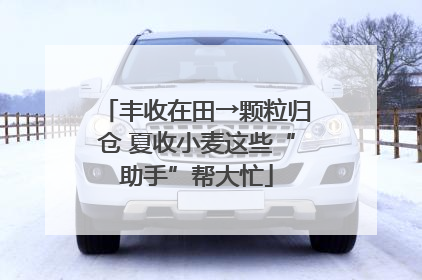 丰收在田→颗粒归仓 夏收小麦这些“助手”帮大忙