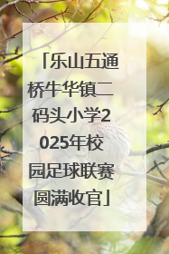 乐山五通桥牛华镇二码头小学2025年校园足球联赛圆满收官