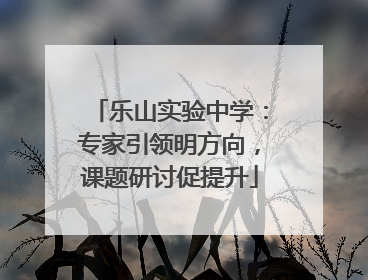 乐山实验中学：专家引领明方向，课题研讨促提升