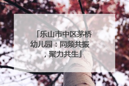 乐山市中区茅桥幼儿园：同频共振，聚力共生