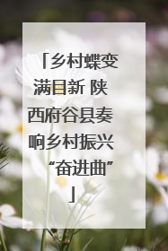 乡村蝶变满目新 陕西府谷县奏响乡村振兴“奋进曲”