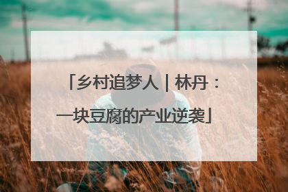 乡村追梦人｜林丹：一块豆腐的产业逆袭