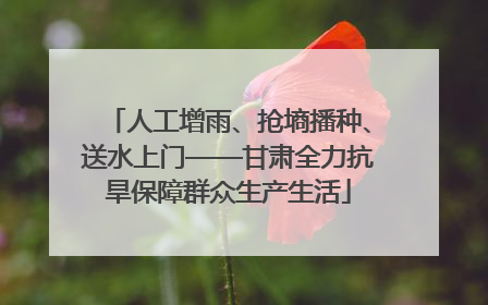 人工增雨、抢墒播种、送水上门——甘肃全力抗旱保障群众生产生活