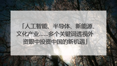 人工智能、半导体、新能源、文化产业……多个关键词透视外资眼中投资中国的新机遇