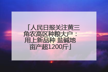 人民日报关注黄三角农高区种粮大户：用上新品种 盐碱地亩产超1200斤