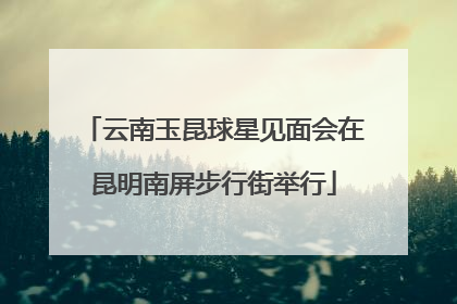 云南玉昆球星见面会在昆明南屏步行街举行