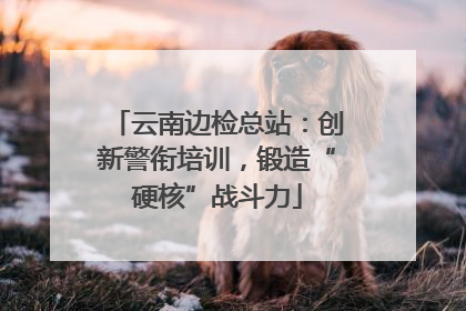 云南边检总站：创新警衔培训，锻造“硬核”战斗力