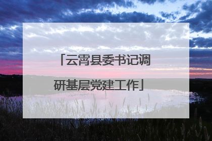 云霄县委书记调研基层党建工作