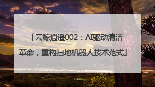 云鲸逍遥002：AI驱动清洁革命，重构扫地机器人技术范式