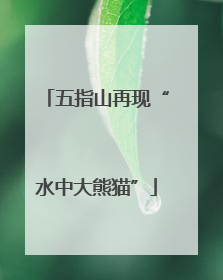五指山再现“水中大熊猫”