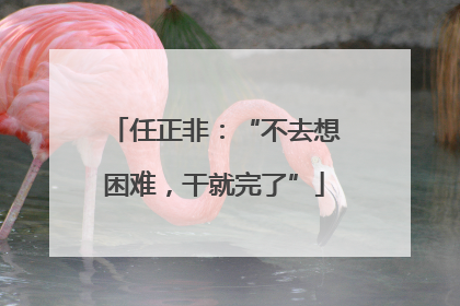 任正非：“不去想困难，干就完了”