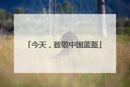 今天，致敬中国蓝盔