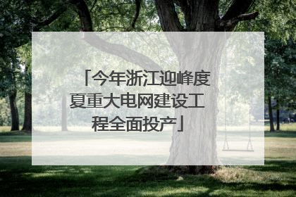 今年浙江迎峰度夏重大电网建设工程全面投产