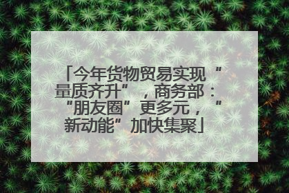 今年货物贸易实现“量质齐升”，商务部：“朋友圈”更多元，“新动能”加快集聚