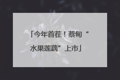 今年首茬！蔡甸“水果莲藕”上市