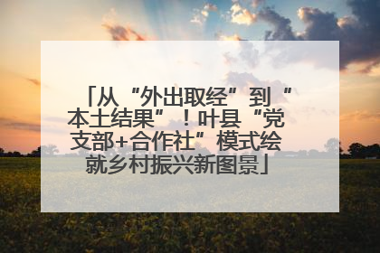 从“外出取经”到“本土结果”！叶县“党支部+合作社”模式绘就乡村振兴新图景