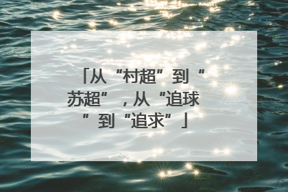 从“村超”到“苏超”，从“追球”到“追求”