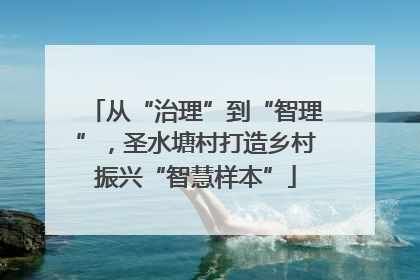 从“治理”到“智理”，圣水塘村打造乡村振兴“智慧样本”