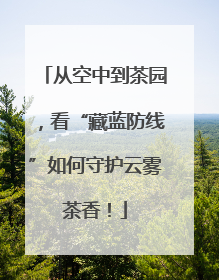 从空中到茶园，看“藏蓝防线”如何守护云雾茶香！
