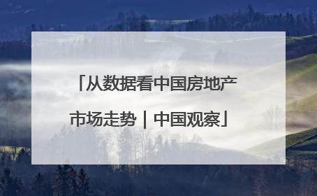 从数据看中国房地产市场走势｜中国观察