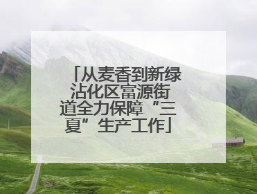 从麦香到新绿 沾化区富源街道全力保障“三夏”生产工作
