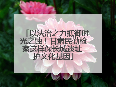 以法治之力抵御时光之蚀！甘肃民勤检察这样保长城遗址 护文化基因