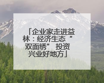 企业家走进益林：经济生态“双面绣” 投资兴业好地方