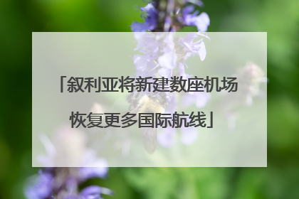 叙利亚将新建数座机场 恢复更多国际航线