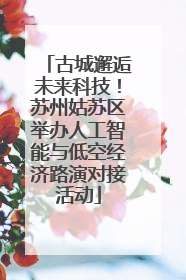 古城邂逅未来科技！苏州姑苏区举办人工智能与低空经济路演对接活动
