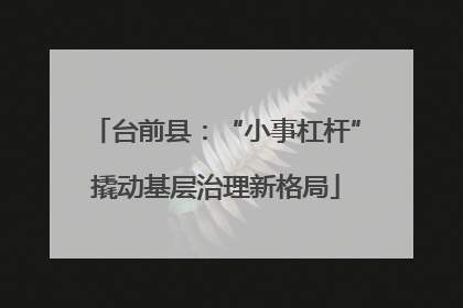 台前县：“小事杠杆”撬动基层治理新格局