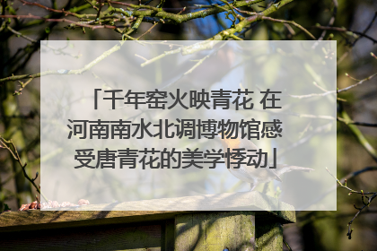 千年窑火映青花 在河南南水北调博物馆感受唐青花的美学悸动