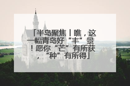 半岛聚焦丨瞧，这一幅青岛好“丰”景！愿你“芒”有所获，“种”有所得