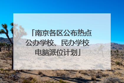 南京各区公布热点公办学校、民办学校电脑派位计划