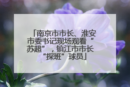 南京市市长、淮安市委书记现场观看“苏超”，镇江市市长“探班”球员